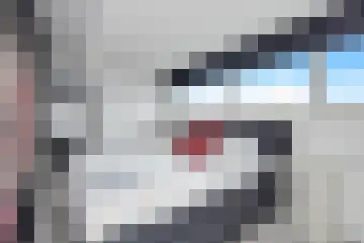 Paulus de boskabouterhof 10 Almere thumbnail 32