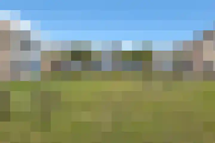Paulus de boskabouterhof 10 Almere thumbnail 37