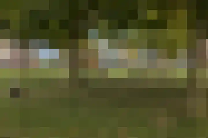 Paulus de boskabouterhof 10 Almere thumbnail 38