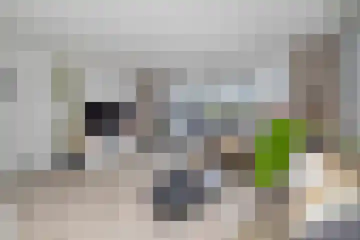 Paulus de boskabouterhof 10 Almere thumbnail 6