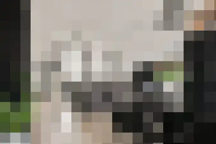 Paulus Emtinckweg 30 Diemen thumbnail 12