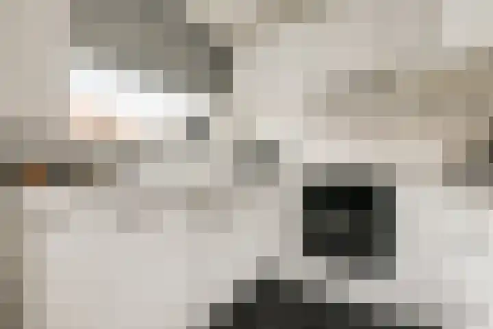 Paulus Emtinckweg 30 Diemen thumbnail 15