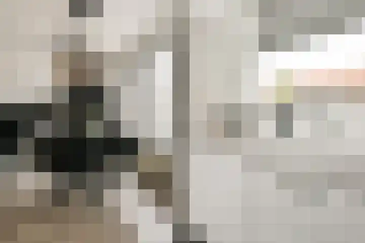 Paulus Emtinckweg 30 Diemen thumbnail 16