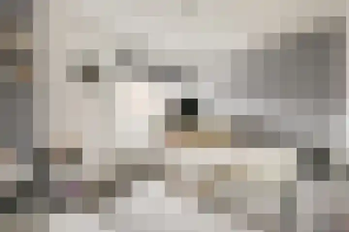 Paulus Emtinckweg 30 Diemen thumbnail 30