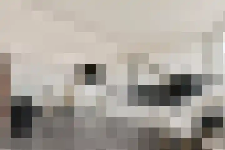 Paulus Emtinckweg 30 Diemen thumbnail 32