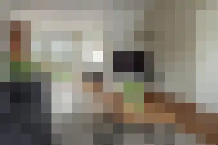 Paulus Folkertsma Herne 19 Aldeboarn thumbnail 12