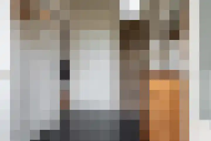 Paulus Folkertsma Herne 19 Aldeboarn thumbnail 18