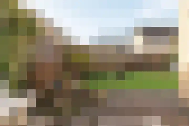 Paulus Folkertsma Herne 19 Aldeboarn thumbnail 30