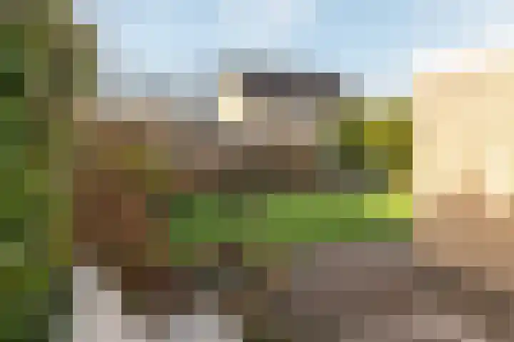 Paulus Folkertsma Herne 19 Aldeboarn thumbnail 31