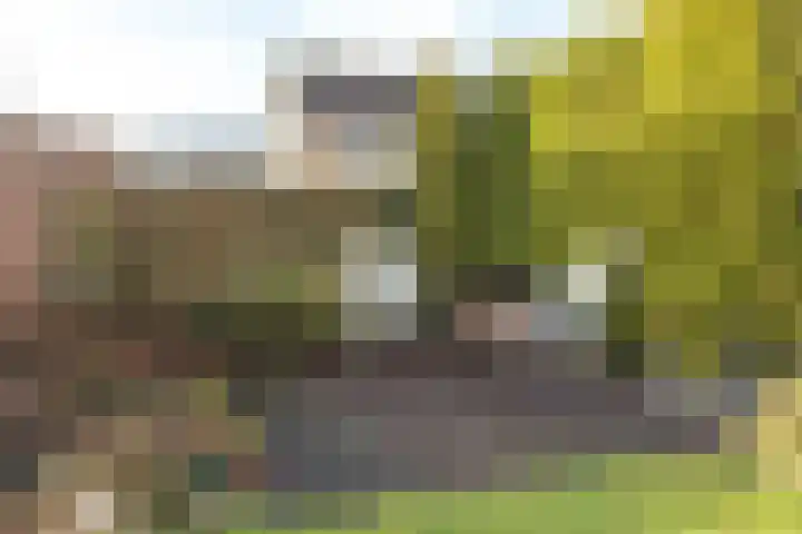 Paulus Folkertsma Herne 19 Aldeboarn thumbnail 32