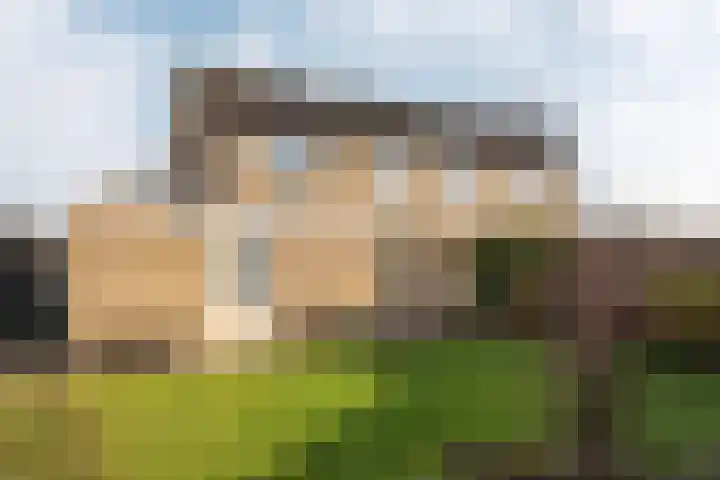 Paulus Folkertsma Herne 19 Aldeboarn thumbnail 33