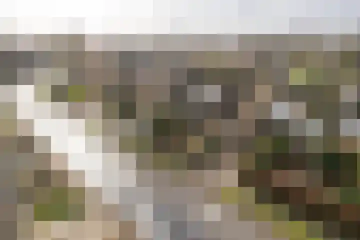 Paulus Folkertsma Herne 19 Aldeboarn thumbnail 37