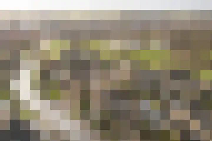Paulus Folkertsma Herne 19 Aldeboarn thumbnail 38