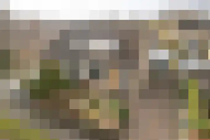 Paulus Folkertsma Herne 19 Aldeboarn thumbnail 7