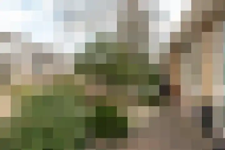Paulus Folkertsma Herne 19 Aldeboarn thumbnail 8