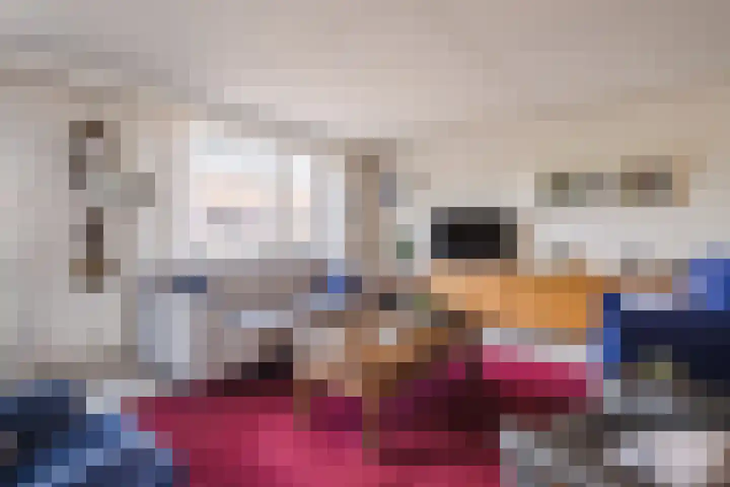 Paulus Gielmansstraat 2 a 1 Eersel thumbnail 15