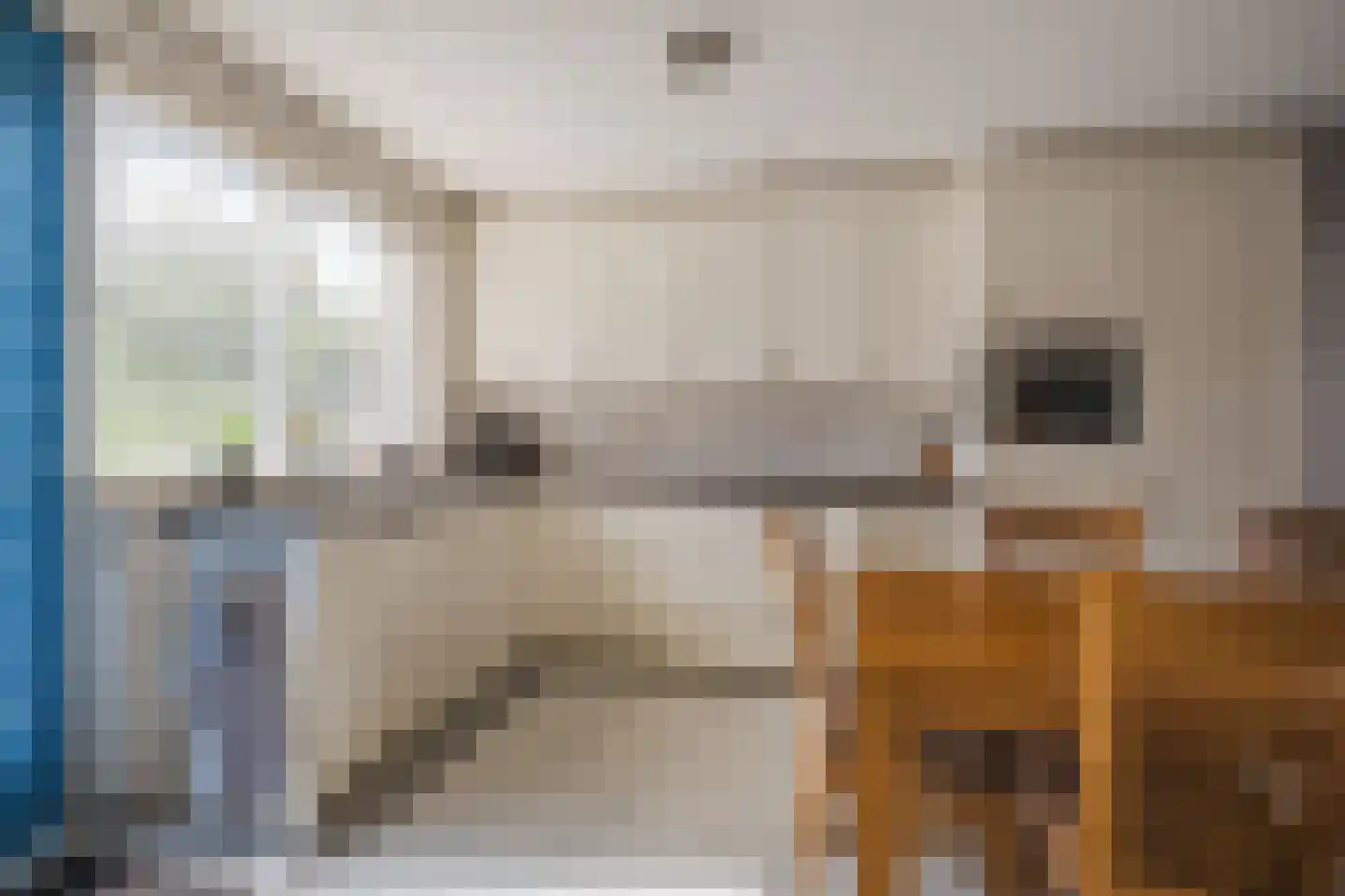 Paulus Gielmansstraat 2 a 1 Eersel thumbnail 18
