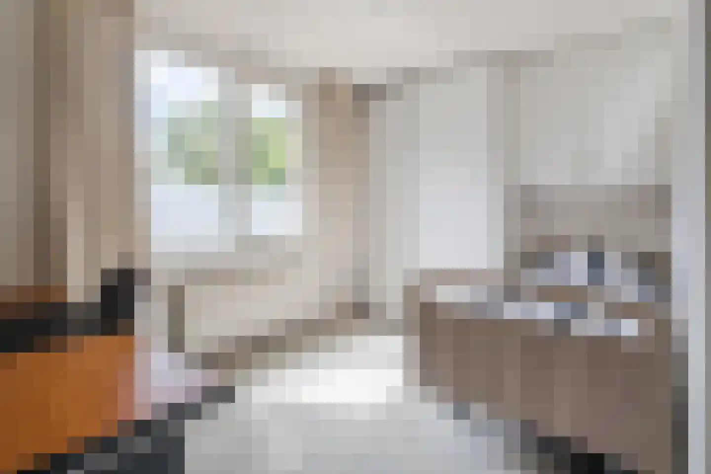 Paulus Gielmansstraat 2 a 1 Eersel thumbnail 23