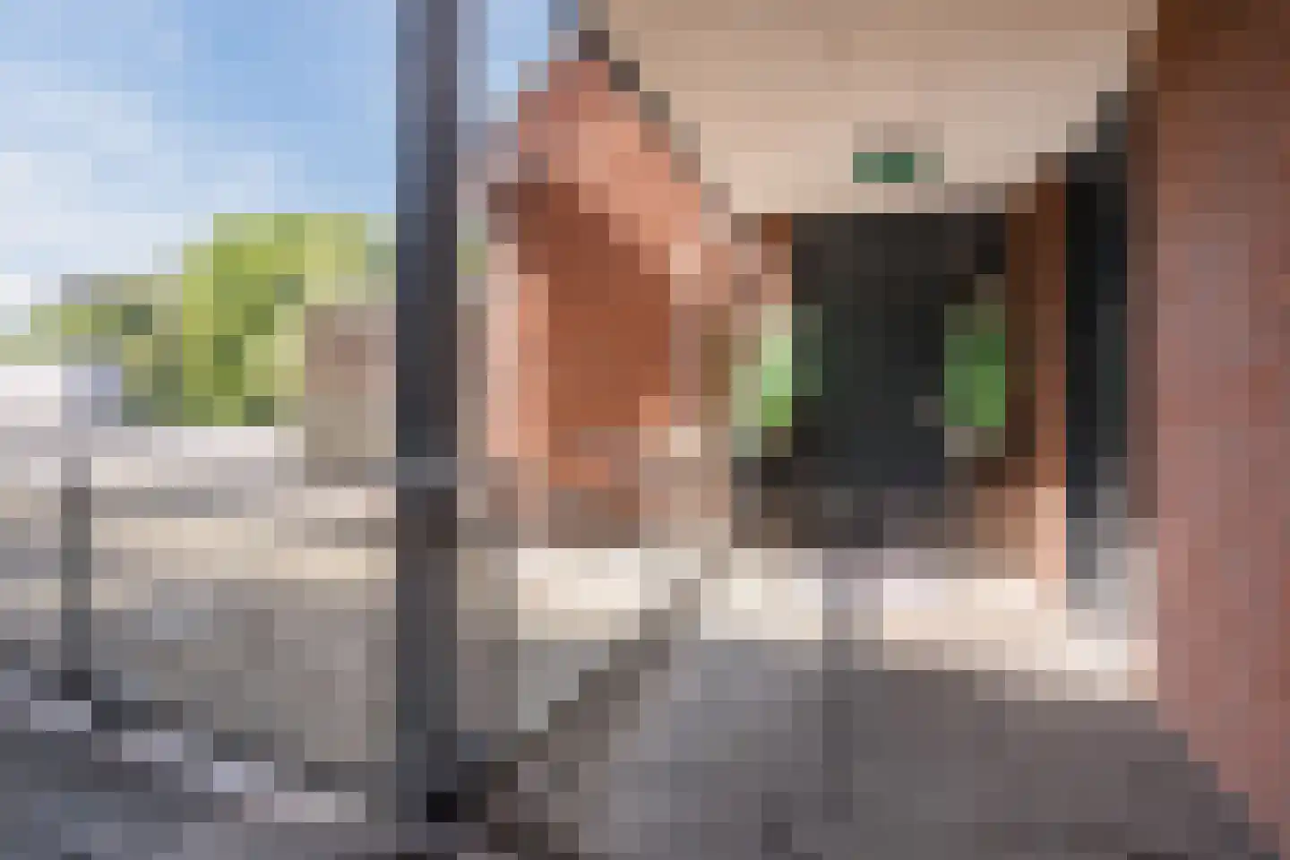 Paulus Gielmansstraat 2 a 1 Eersel thumbnail 7
