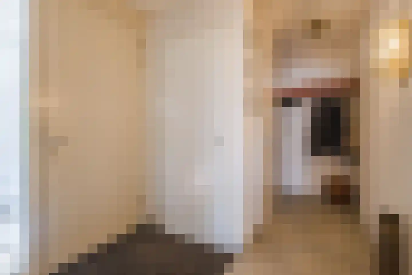 Paulus Gielmansstraat 2 a 1 Eersel thumbnail 8