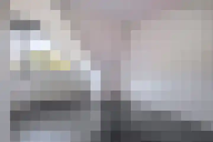 Paulus Gielmansstraat 2 c 3 Eersel thumbnail 20