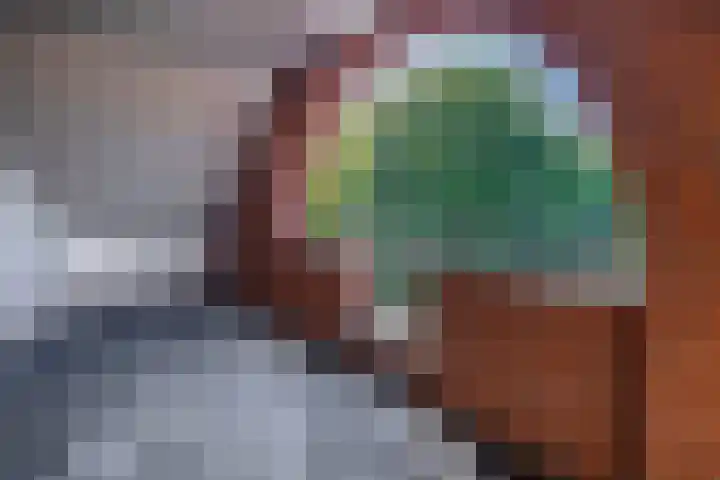 Paulus Gielmansstraat 2 c 3 Eersel thumbnail 27