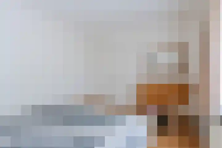 Paulus Gielmansstraat 7 Eersel thumbnail 34