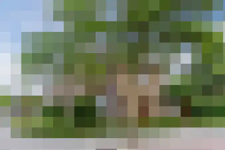 Paulus Gielmansstraat 7 Eersel thumbnail 4