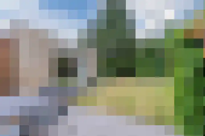 Paulus Gielmansstraat 7 Eersel thumbnail 46