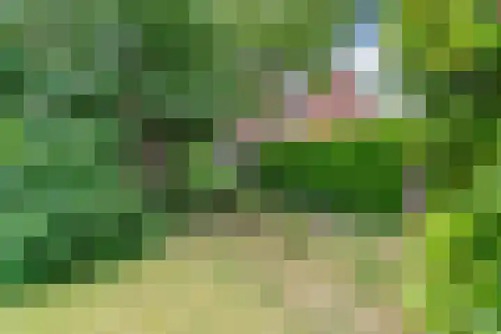 Paulus Gielmansstraat 7 Eersel thumbnail 47