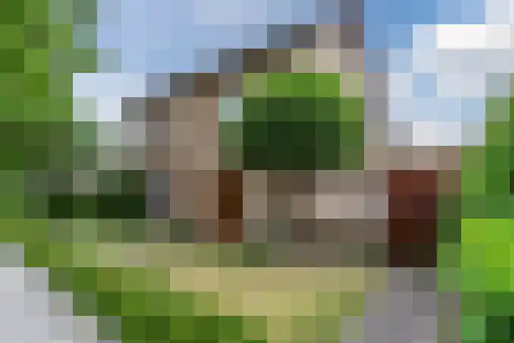 Paulus Gielmansstraat 7 Eersel thumbnail 5