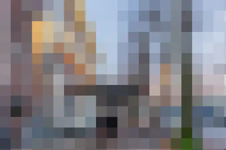 Paulus Gielmansstraat 7 Eersel thumbnail 54