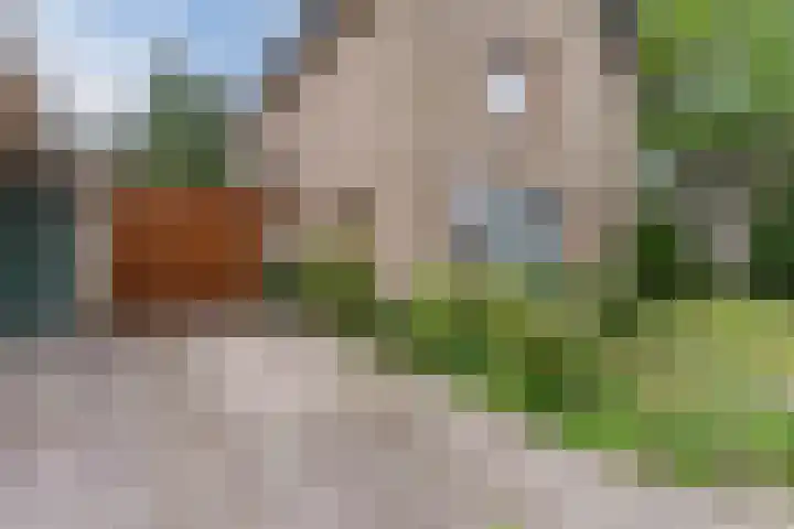 Paulus Gielmansstraat 7 Eersel thumbnail 8