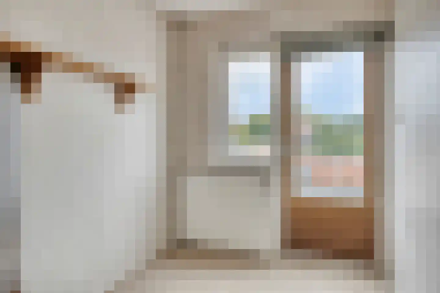 Paulus Hollestraat 2 Oostkapelle thumbnail 25