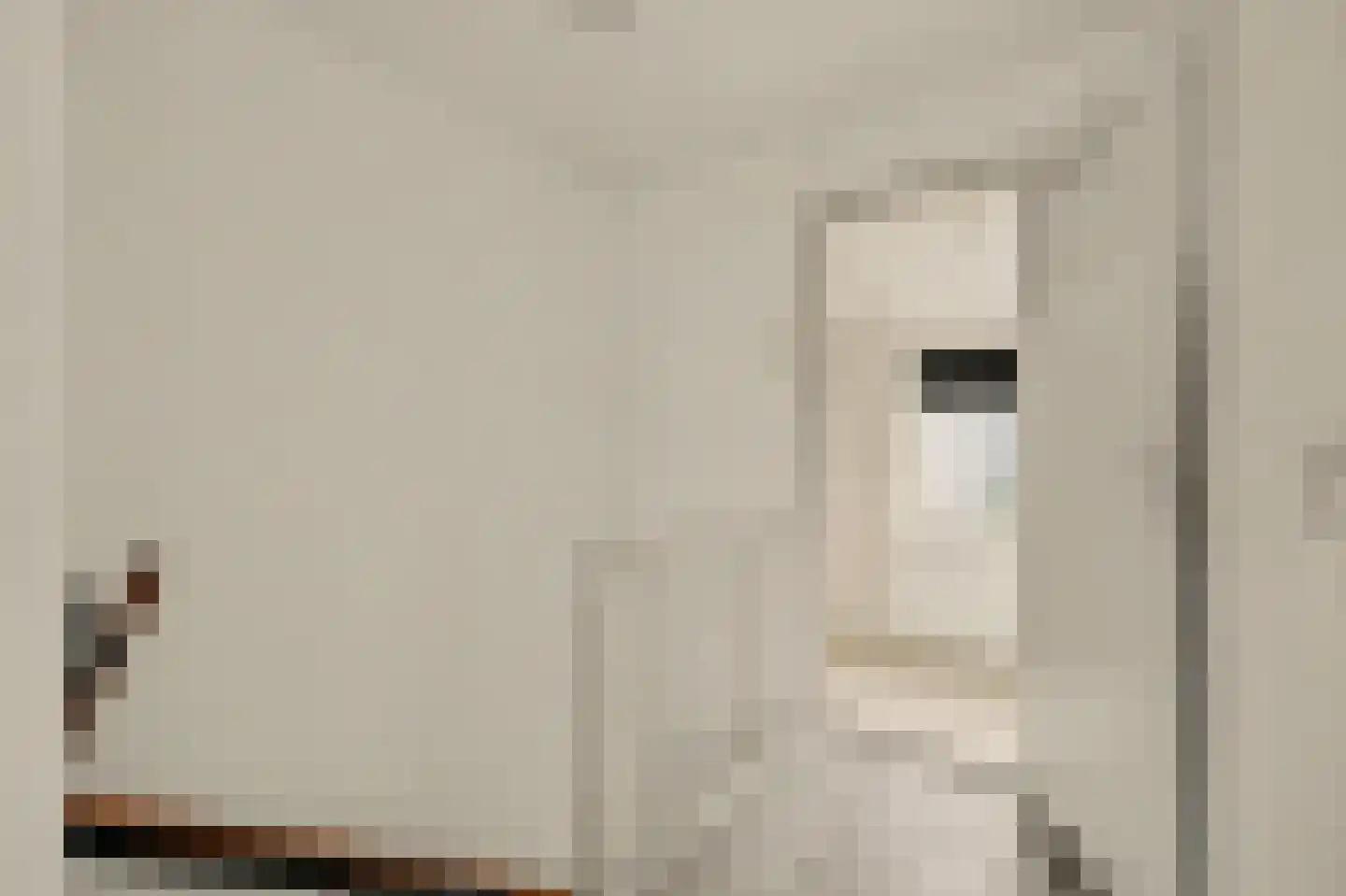 Paulus Hollestraat 7 Oostkapelle thumbnail 20