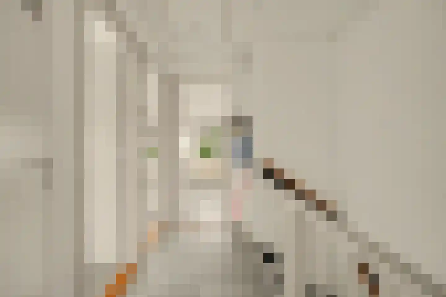 Paulus Hollestraat 7 Oostkapelle thumbnail 21