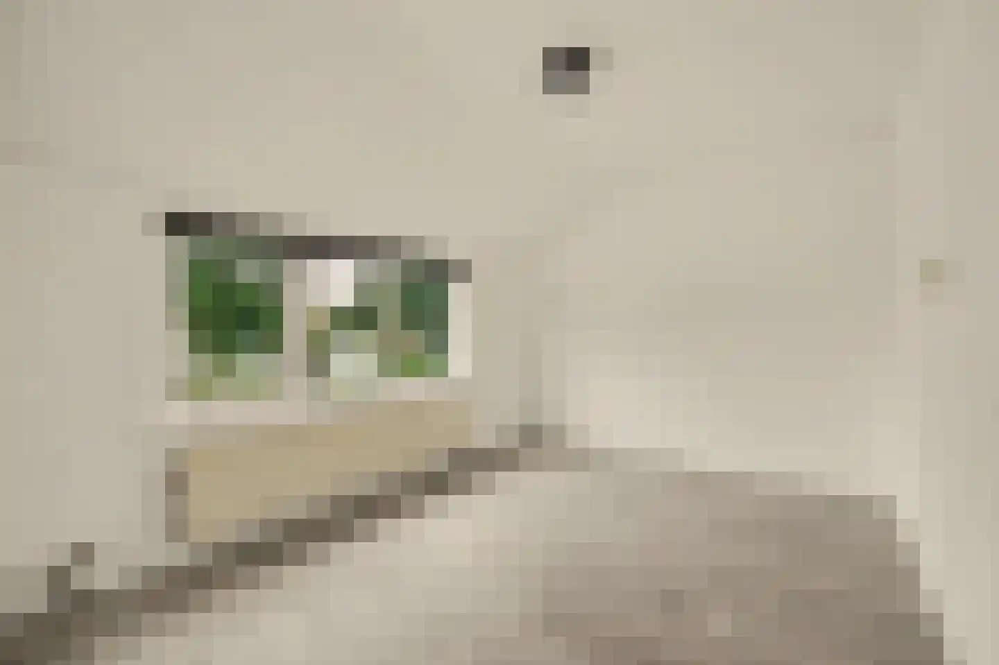 Paulus Hollestraat 7 Oostkapelle thumbnail 4