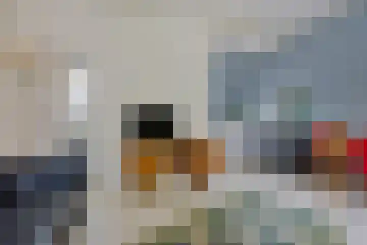 Paulus Lamanstraat 10 Groningen thumbnail 16