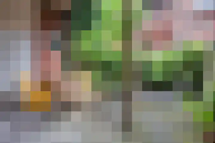 Paulus Lamanstraat 10 Groningen thumbnail 20