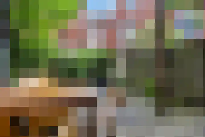 Paulus Lamanstraat 10 Groningen thumbnail 21