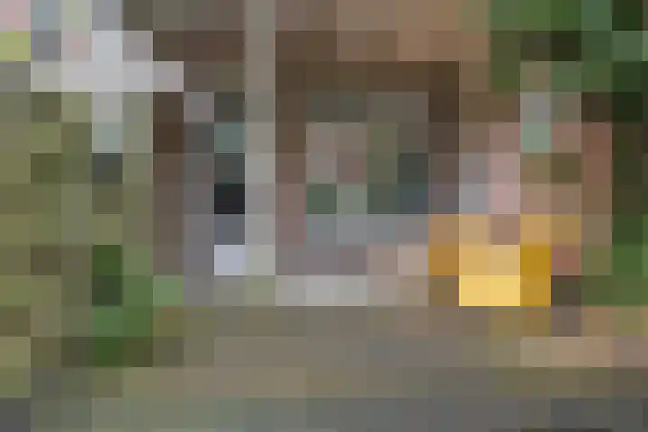 Paulus Lamanstraat 10 Groningen thumbnail 22