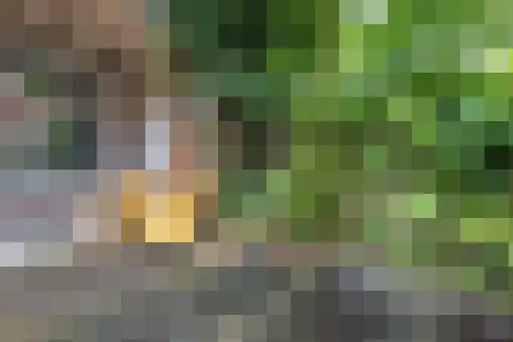Paulus Lamanstraat 10 Groningen thumbnail 23