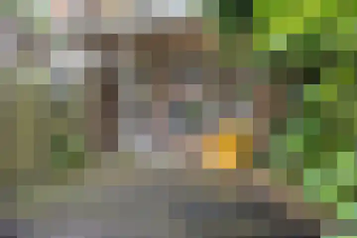 Paulus Lamanstraat 10 Groningen thumbnail 24