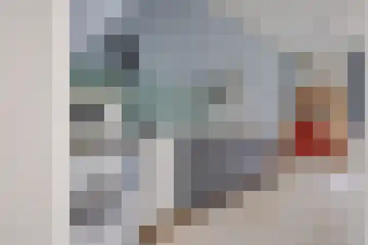 Paulus Lamanstraat 10 Groningen thumbnail 32