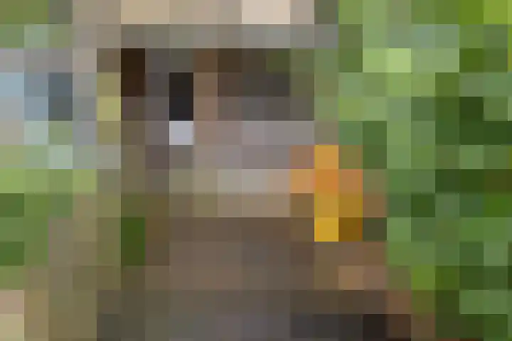 Paulus Lamanstraat 10 Groningen thumbnail 41