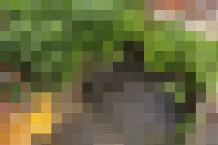 Paulus Lamanstraat 10 Groningen thumbnail 42
