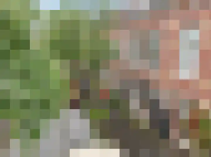 Paulus Lamanstraat 10 Groningen thumbnail 44
