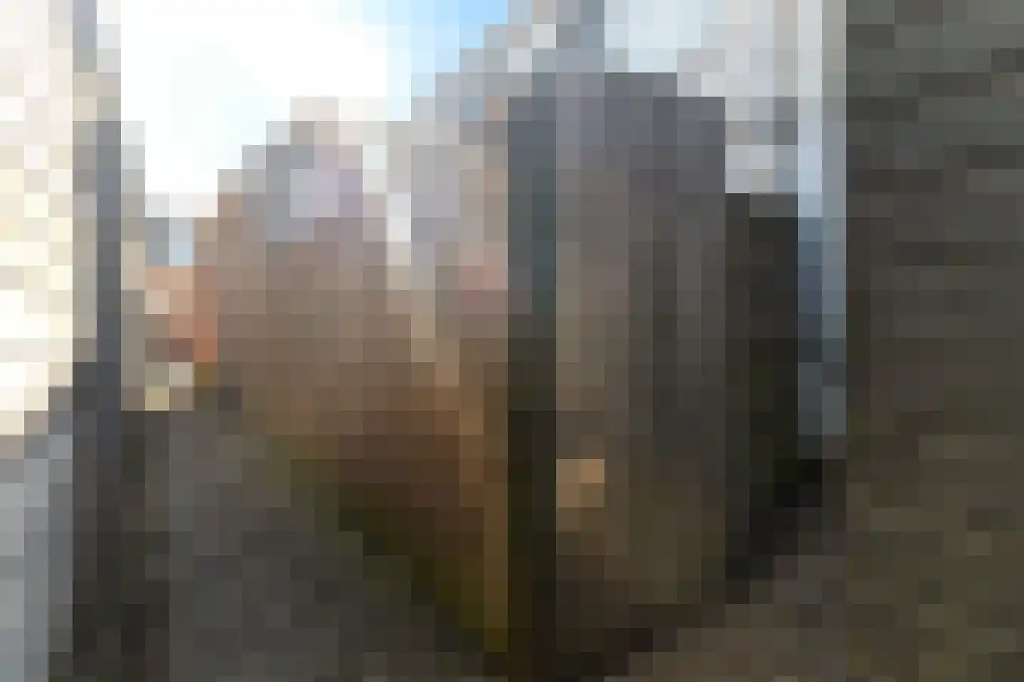 Paulus Moreelsestraat 31 Leeuwarden thumbnail 34