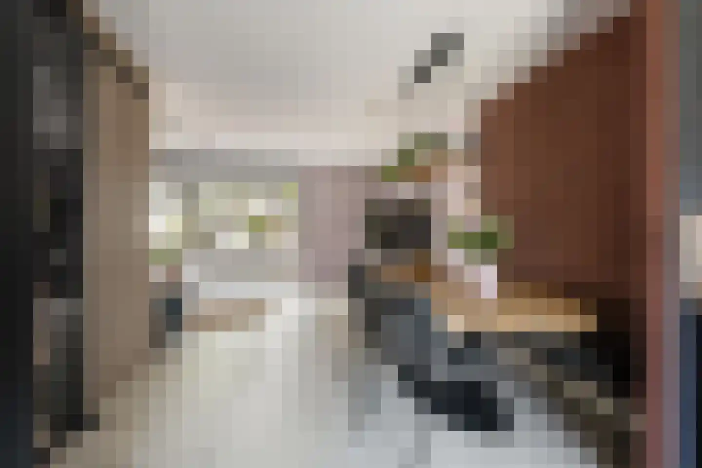 Paulus Potter 10 Creil thumbnail 11