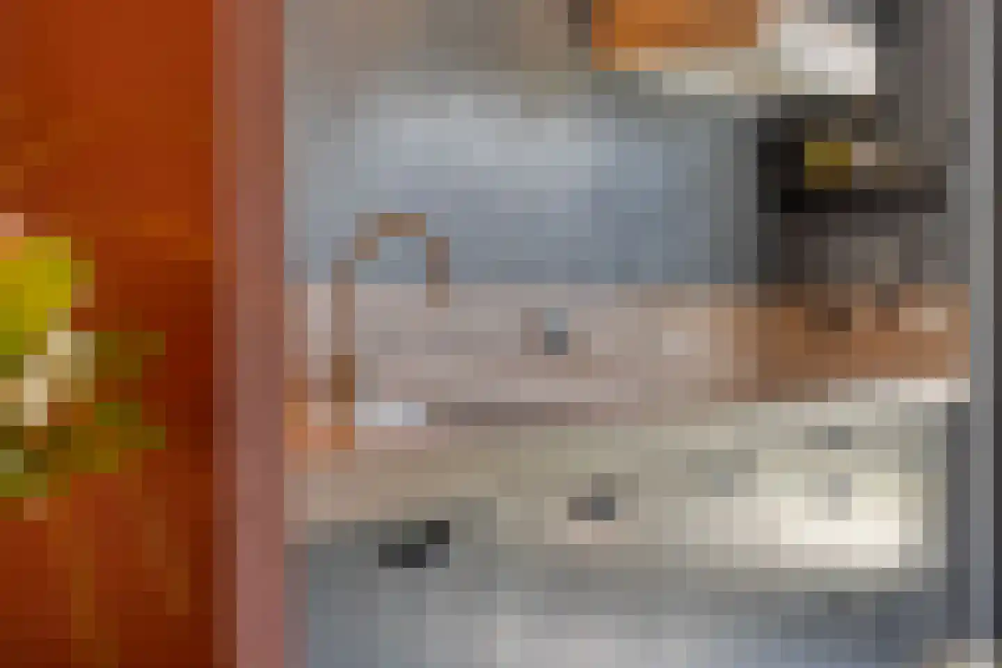 Paulus Potter 10 Creil thumbnail 13
